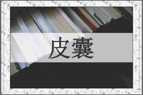 皮囊