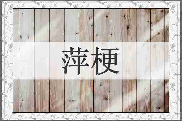 萍梗