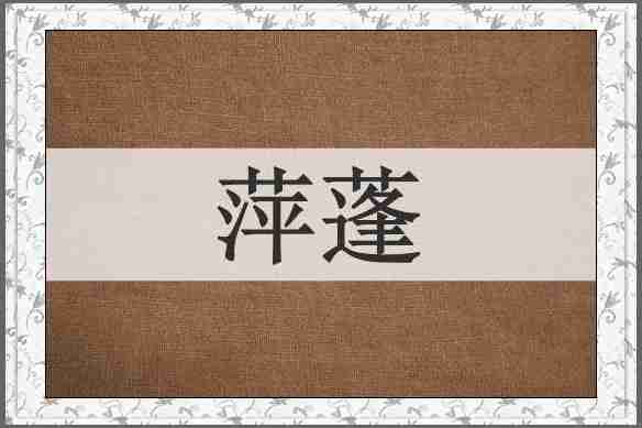 萍蓬