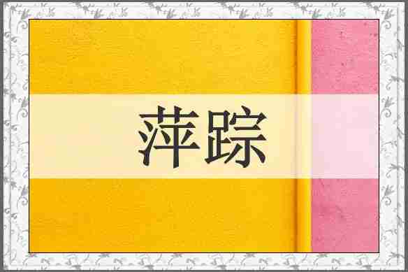 萍踪