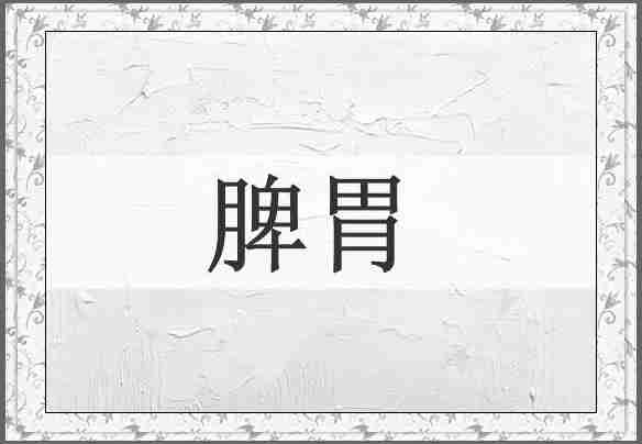 脾胃