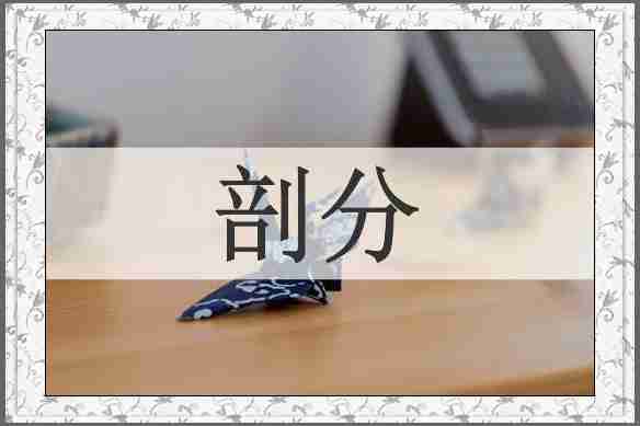 剖分