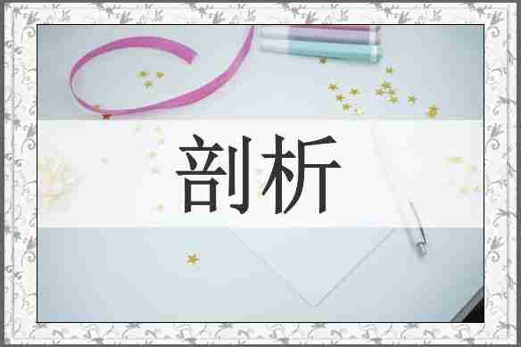 剖析