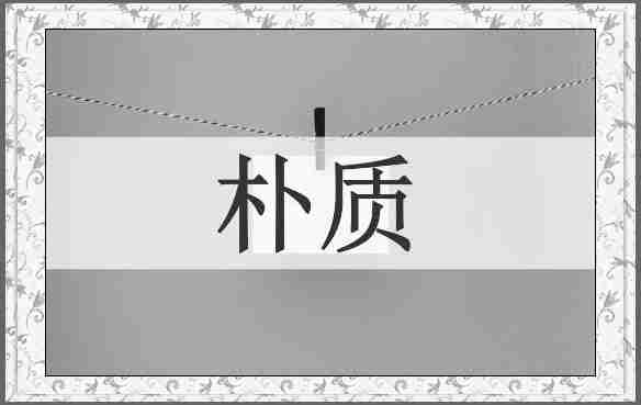 朴质