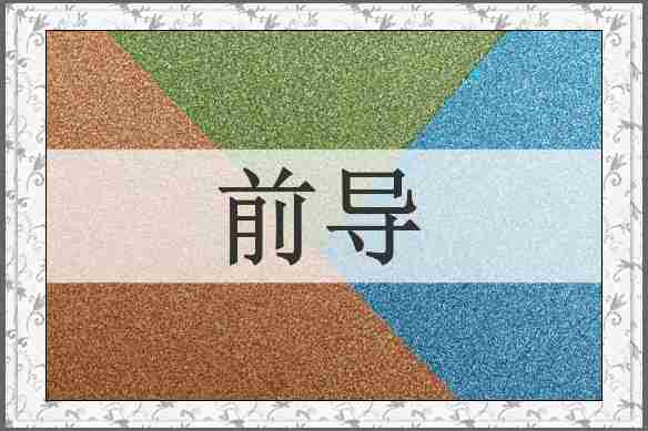 前导