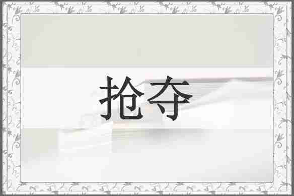 抢夺