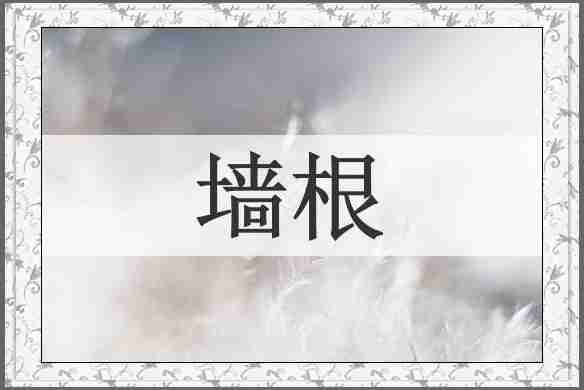墙根