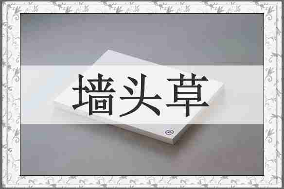 墙头草