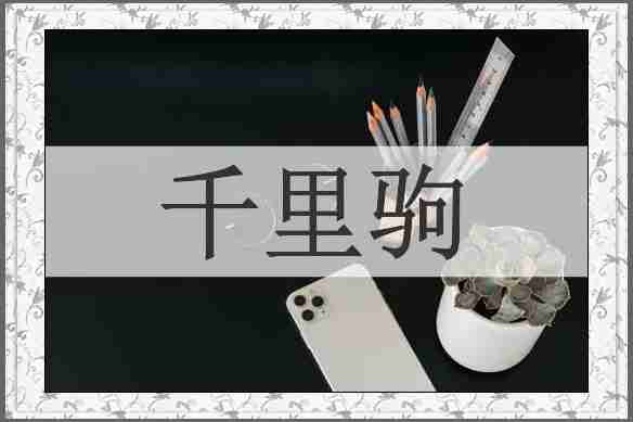 千里驹