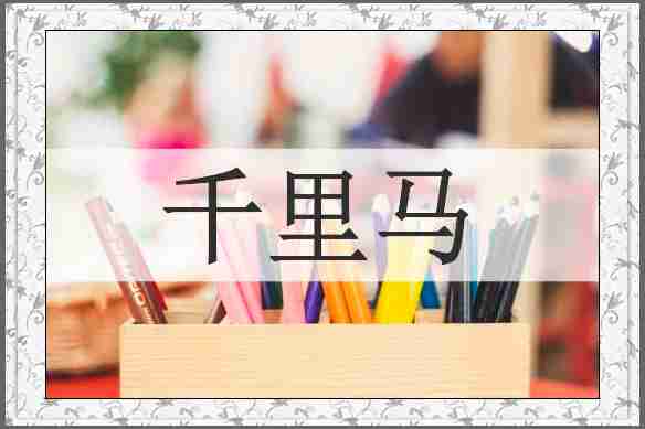 千里马