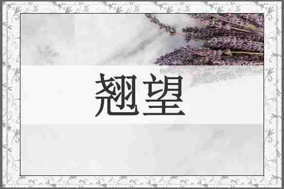 翘望