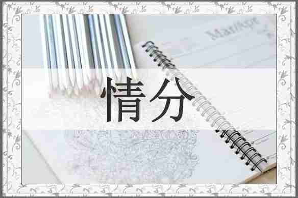 情分