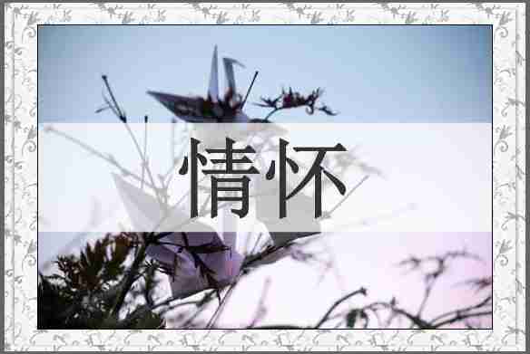 情怀
