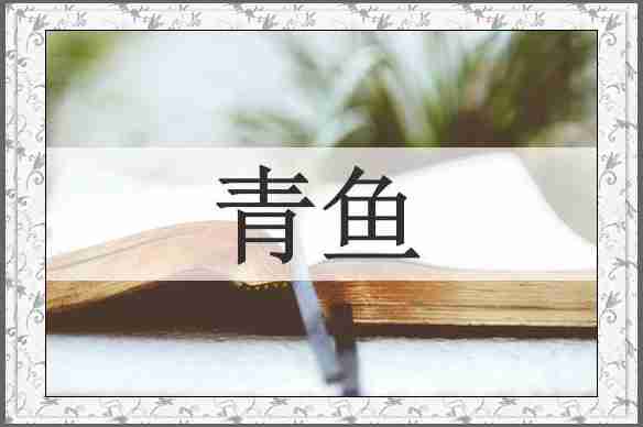 青鱼