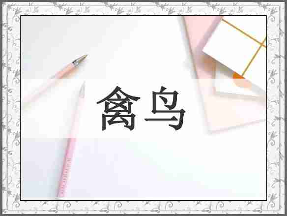 禽鸟