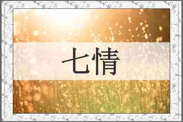 七情