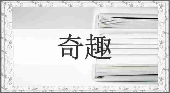 奇趣
