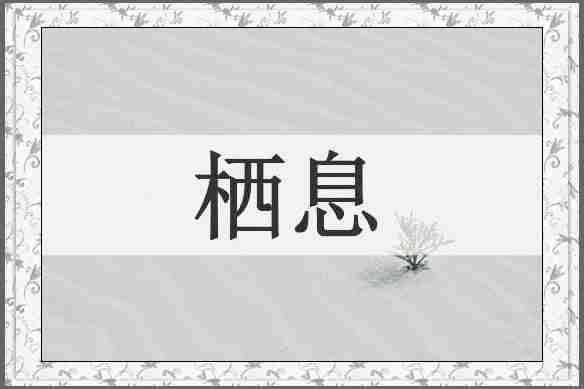 栖息