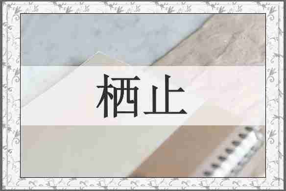 栖止