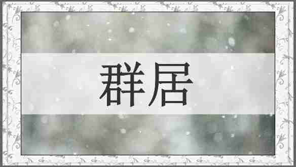 群居