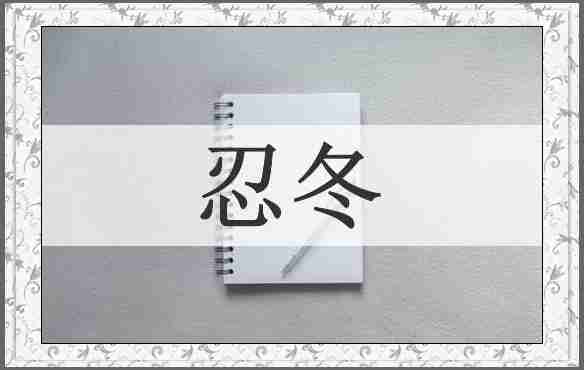 忍冬