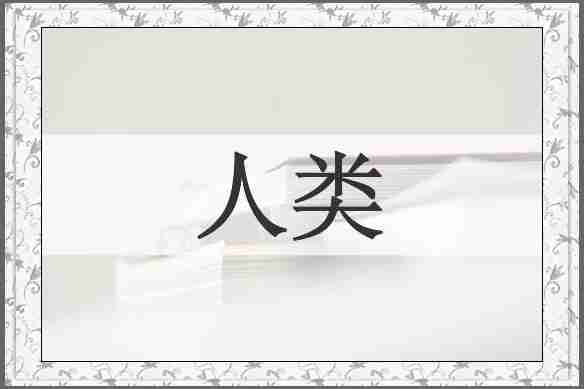 人类