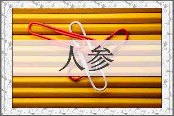 人参