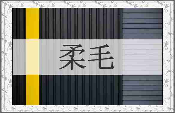 柔毛