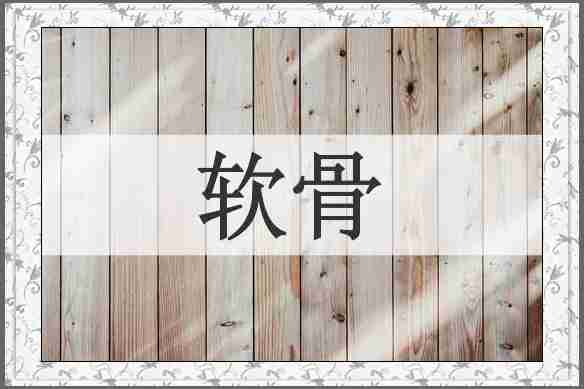软骨