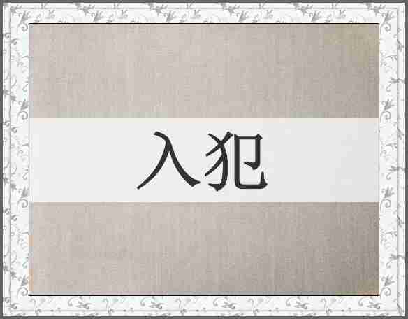 入犯
