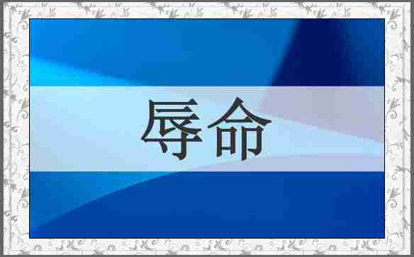 辱命
