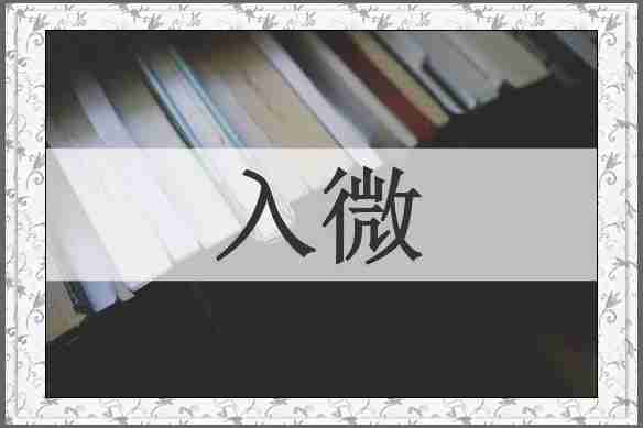 入微