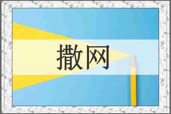 撒网