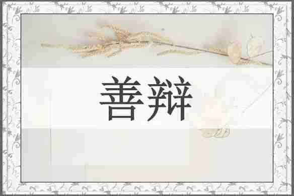 善辩