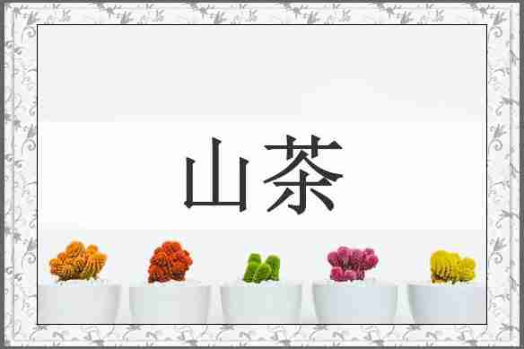 山茶