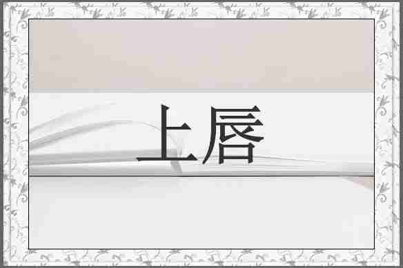 上唇