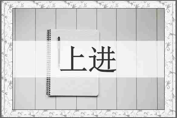 上进