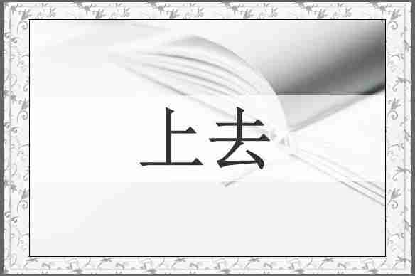 上去