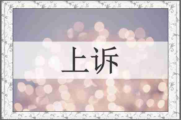 上诉
