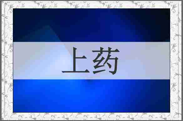 上药