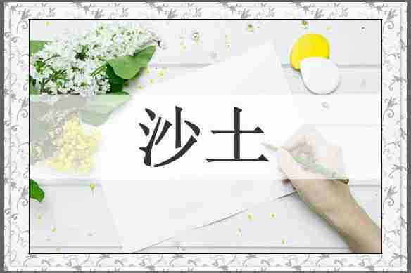 沙土