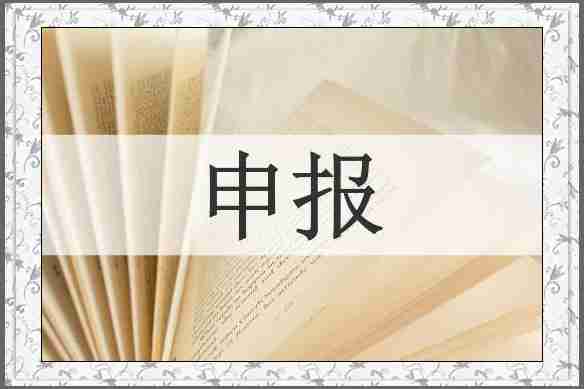 申报