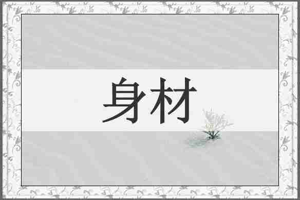 身材