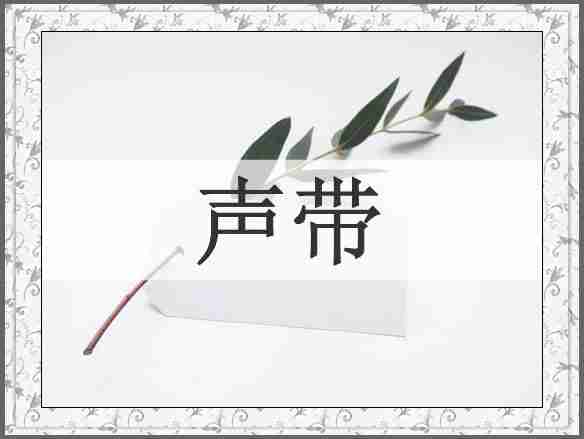 声带