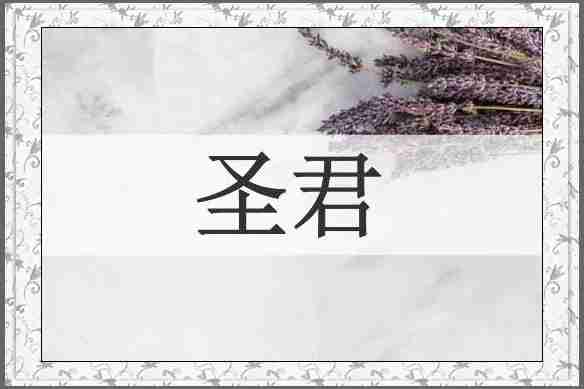 圣君