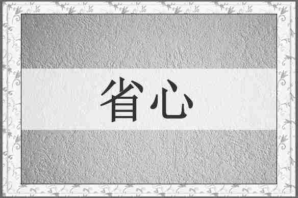 省心