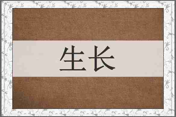 生长
