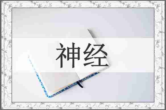 神经