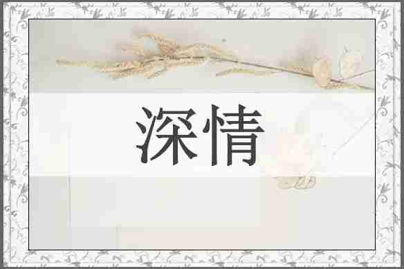 深情