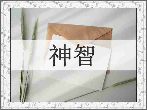 神智
